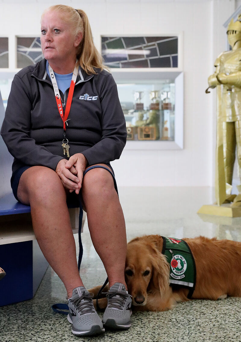 GICC therapy dogs